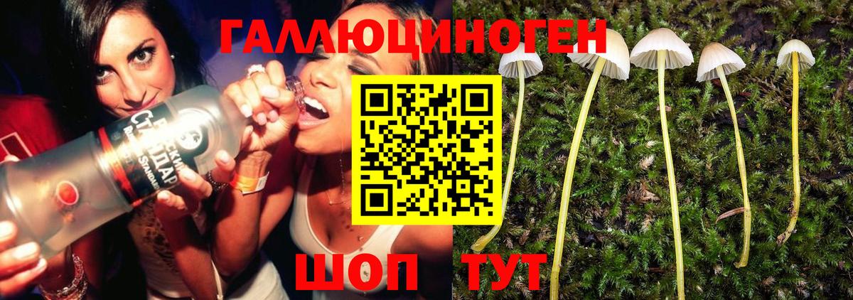 Псилоцибиновые грибы MAGIC MUSHROOMS  Вход с VPN  Псилоцибиновые грибы мухоморы  Владивосток 